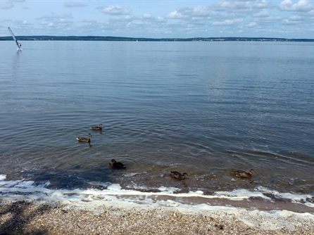 Шашлычок на Минском море — фото 23