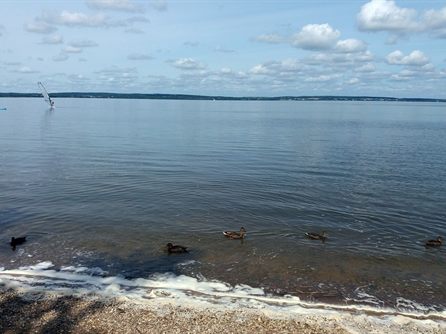 Шашлычок на Минском море — фото 24