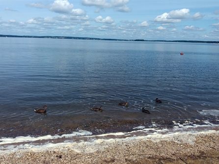 Шашлычок на Минском море — фото 25