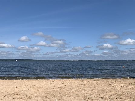 Шашлычок на Минском море — фото 27