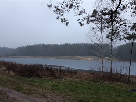 Покатушки с DUSTERами — фото 23