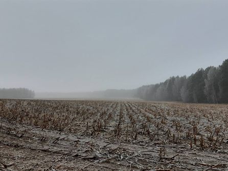 Покатушки с DUSTERами — фото 25