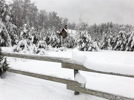 Новый год и Рождество на 55-м кордоне — фото 3