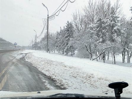 Новый год и Рождество на 55-м кордоне — фото 6