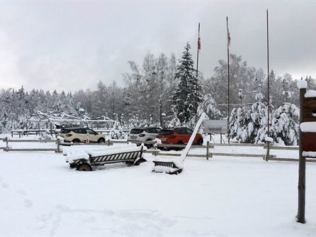 Новый год и Рождество на 55-м кордоне — фото 9