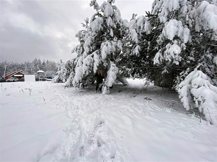 Новый год и Рождество на 55-м кордоне — фото 12
