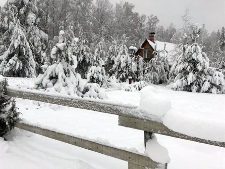 Новый год и Рождество на 55-м кордоне — фото 72