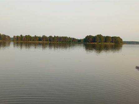 Вилейка Желтый берег — фото 12