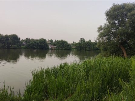 Вилейка Желтый берег — фото 13