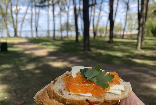 Рено Каптур Клуб Беларусь | Сходка на Минском море