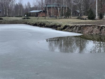 НГ и ДР Димы и Леши — фото 20