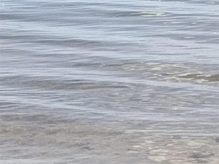 Сходка на Минском море — фото 15