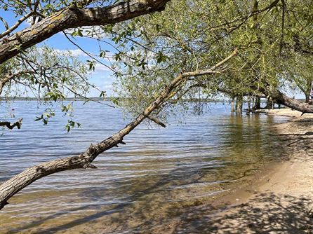 Сходка на Минском море — фото 75