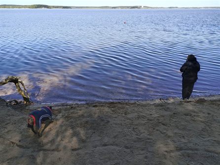 Сходка на Минском море — фото 91