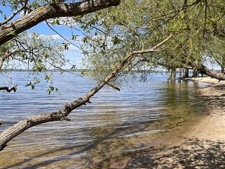 Сходка на Минском море — фото 132
